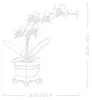 Mała orchidea Podgląd zdjęcia produktu 21