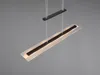 Trio Leuchten LED Pendelleuchte Milos 4x5W schwarz, Metall Produktbild-Vorschau 13