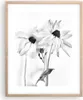 Gerahmtes Poster - Rahmen in heller Eiche - Verwelkt Blumen Produktbild-Vorschau 1