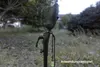 Prologic K1 Buzzer 2 Rod 20cm - Buzzerbar Produktbild-Vorschau 5