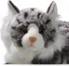 Close-up of a stuffed cat toy. Náhľad obrázku produktu