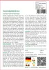SAFLAX - Tausendgüldenkraut - Centaurium erythraea - 250 Produktbild-Vorschau 3