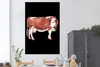 MuchoWow® Poster Kuh - Tiere - Braun - Schwarz 120x180 cm - Produktbild-Vorschau 2