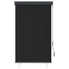 vidaXL Roleta zewnętrzna 100 x 250 cm antracytowa Podgląd zdjęcia produktu 1