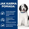HILL'S PD Canine Urinary Care C/D - Nassfutter für Hunde - Produktbild-Vorschau 3