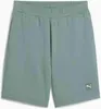 PUMA ESS ELEVATED Shorts 9 TR GREEN MOON GREEN MOON S Produktbild-Vorschau 1