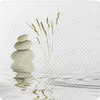 Sanilo Badematte Balance 53 x 53 cm Produktbild-Vorschau 2