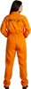 A person wearing an orange jumpsuit with 'County Jail' printed on the back. Produktbild-Vorschau