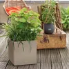 Lechuza Samozavlažovací květináč Canto Stone Square průměr Náhled obrázku produktu 14