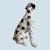 Relaxdays Gartenfigur Hund, Dalmatiner Figur, HxBxT: 83 x Produktbild-Vorschau 7