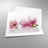 Poster - Poster ohne Rahmen - Magnolie blume natur pflanze Produktbild-Vorschau 3