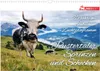 Pustertaler Sprinzen und Schecken in Österreich Produktbild-Vorschau 1