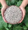 Hands holding a bowl of light gray pebbles in front of green leafy plants. Produktbild-Vorschau