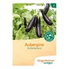 Aubergine - De Barbentane Voir les images du produit 1