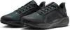 Nike Pegasus 41 GORE-TEX Laufschuhe Herren Produktbild-Vorschau 1