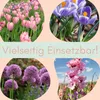 Pflanzkörbe für Blumenzwiebeln Pflanzkorb Blumenzwiebeln Produktbild-Vorschau 7