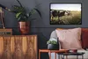 MuchoWow® MuchoWow® Gerahmtes Poster Kühe - Licht - Natur Produktbild-Vorschau 2