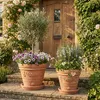 Teramico Terracotta Topf "Festone" frostfest optional mit Produktbild-Vorschau 3
