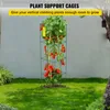 SucceBuy Cages à tomates, 37,8 x 37,8 x 99,9 cm, lot de 6 Voir les images du produit 2