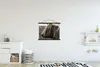 MuchoWow® Textilposter Schottisches Hochlandrind - Kuh - Produktbild-Vorschau 2