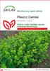 SAFLAX - Płaszcz Damski - 100 Nasiona - Alchemilla vulgaris Podgląd zdjęcia produktu 1