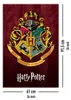 Pyramid International PP34341, 1 Stück(e), Wizarding World, Produktbild-Vorschau 5