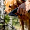 Kärcher Waschbürste Haustier Produktbild-Vorschau 2