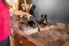 Parní čistič Kärcher SC 4 Deluxe Iron 1.513-462.0 Produktbild-Vorschau