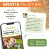 Rasen Nachsaat 1kg Produktbild-Vorschau 4