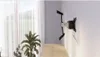 A wall-mounted TV bracket is shown mounted on a white wall, with sheer curtains and a potted plant visible in the background. Anteprima dell’immagine prodotto