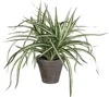 Mica Decorations Dracaena Kunstpflanze im Blumentopf Stan - Produktbild-Vorschau 1