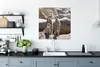 MuchoWow® Poster Familie - Erdmännchen - Tiere 75x75 cm - Produktbild-Vorschau 3