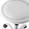 FCH Rollhocker Drehhocker Arbeitshocker Praxishocker Produktbild-Vorschau 3