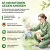 SF Nematoden gegen Ameisen- 20 Mio. für 40m² Mittel gegen Produktbild-Vorschau 5