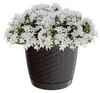 Ratolla runder Blumentopf mit Sockel 22x19,5cm umbra Produktbild-Vorschau 10