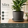Pflanztopfuntersetzer Mira Anthrazit Ø 49cm - Frostsicher & Produktbild-Vorschau 7