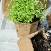 relaxdays Anzuchttöpfe 240er Set mit Zubehör Produktbild-Vorschau 6