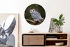 MuchoWow® Rundes Wandbild - Runde Bilder Eule - Vogel - Produktbild-Vorschau 2