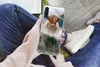 MuchoWow® Handyhülle Schutzhülle Hülle für Samsung Galaxy Produktbild-Vorschau 3
