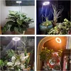Collage of four images showing LED plant grow lights illuminating various indoor plants in different settings. Náhľad obrázku produktu
