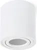 A white cylindrical ceiling lamp with an adjustable spotlight. Anteprima dell’immagine prodotto