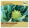 Samenliebe  Blumenkohl Samen | Romanesco Natalino - grün - Produktbild-Vorschau 1