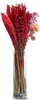 Dehner Blumenstrauß aus Trockenblumen, Blumen-Bouquet Produktbild-Vorschau 2