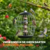 Gifts4Nature Meisenknödel ohne Netz 50 Stück - Produktbild-Vorschau 2