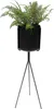 A black metal plant stand with a fern in a black pot, isolated on a white background. Anteprima dell’immagine prodotto