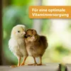 Quiko Hobby Farming Vitacombex H Multivitaminsaft für Produktbild-Vorschau 4