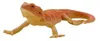 Mojo Fun Bearded Dragon, 3 Jahr(e), Wildlife, Braun, Rot, Produktbild-Vorschau 2