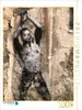 CALVENDO Puzzle Murales - Altstadt von Tarent | 1000 Teile Produktbild-Vorschau 1