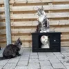 RHRQuality Katzenhaus Villa de Luxe – Für drinnen und Produktbild-Vorschau 3