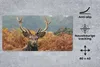 MuchoWow® Schreibtischunterlage Hirsch - Baum - Herbst Produktbild-Vorschau 2